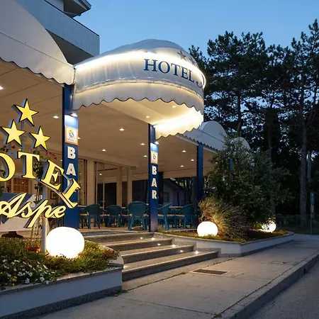 Aspe Hotel 3*